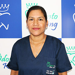 Juli Ortiz de Arauz